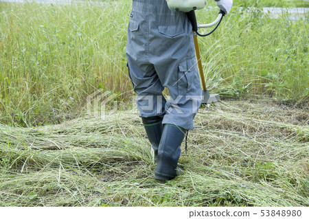 有除草圖像,割草機,除草圖像的人 有除草圖像,割草機,除草圖像的人 53848980