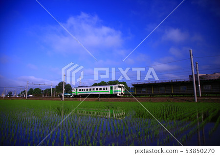 稻田和火車 53850270