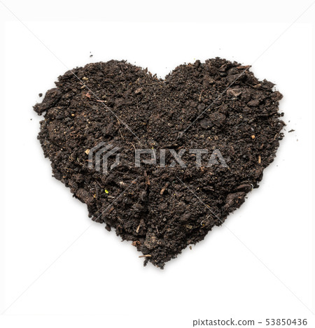 Natural black topsoil with fertile humus for plant Natural black topsoil with fertile humus for plant 53850436
