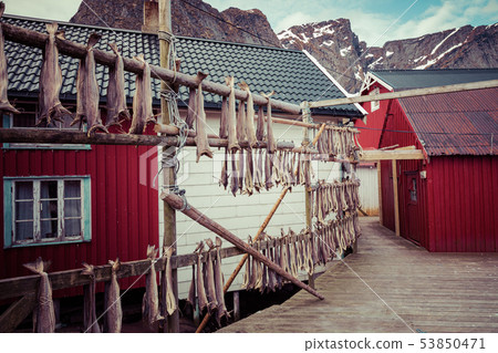 Reine fishing village on Lofoten islands, Reine fishing village on Lofoten islands, 53850471
