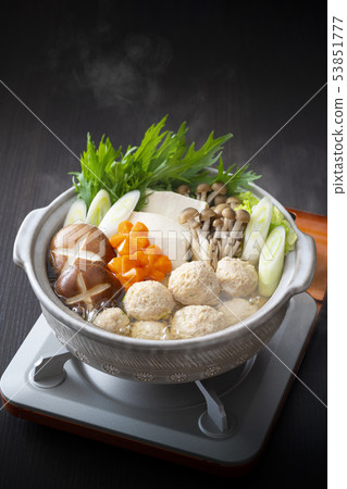 Chicken dumpling pot Chicken dumpling pot 53851777