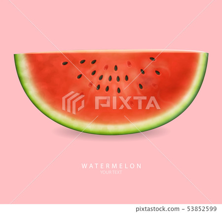 Watermelon slices Vector realistic. Summer tropic 53852599