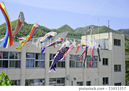 小學鯉魚流光(偽空中拍攝) 小學鯉魚流光(偽空中拍攝) 53853357
