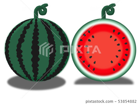 Maru(○)2“rei”“wa”不情願的西瓜 Maru(○)2“rei”“wa”不情願的西瓜 53854882