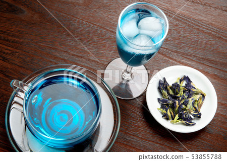 Butterfly pea tea Butterfly pea tea 53855788