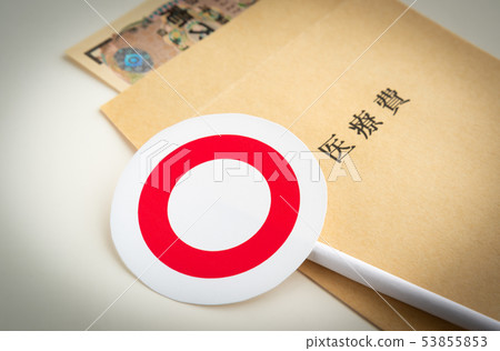Medical expenses ○ Banknote Envelope Spending Household Medical expenses ○ Banknote Envelope Spending Household 53855853