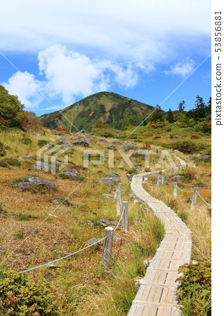 On the way to Mt. On the way to Mt. 53856881