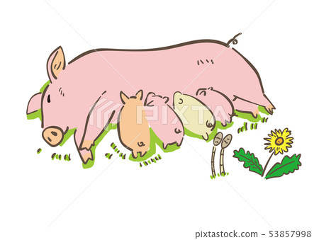 養豬場哺養的豬例證 53857998