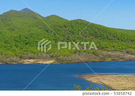 小國沼池 53858742