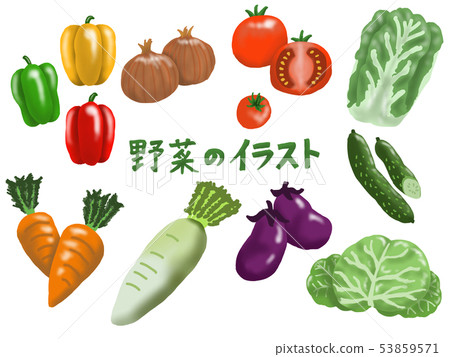 蔬菜的例證 53859571