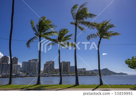 Waikiki and Diamond Head seen from Ala Moana Park Waikiki and Diamond Head seen from Ala Moana Park 53859991