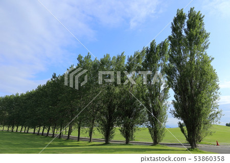 Hokkaido Sapporo Moerenuma Park Hokkaido Sapporo Moerenuma Park 53860358