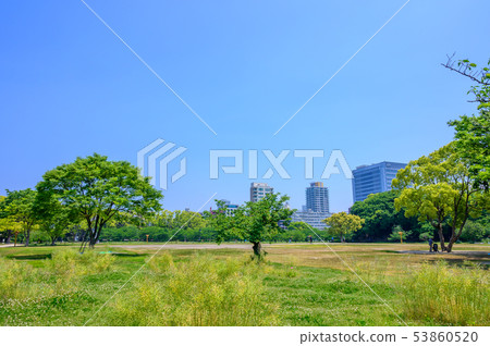 Maizuru Park [Fukuoka Prefecture] in early summer 53860520