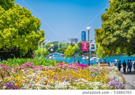 初夏的城市綠洲大濠公園[福岡] 53860765