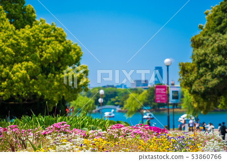 初夏的城市綠洲大濠公園[福岡] 53860766