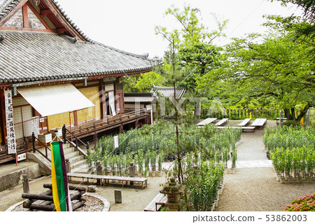 Matsuoji temple 53862003