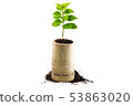 Concept of growing from plant on white background 53863020