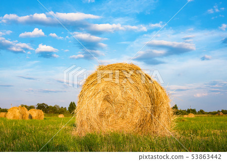 Hay bale. Agriculture field with sky.Rural nature 53863442