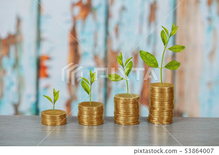 Tree growing on coins stack ,concept of investment Tree growing on coins stack ,concept of investment 53864007