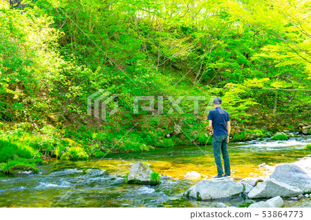 山流光 山流光 53864773