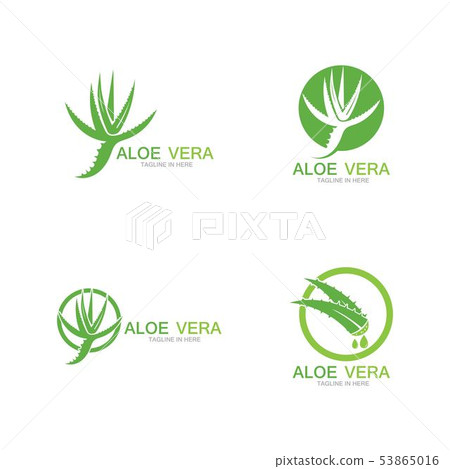 Aloe vera logo vector ilustration template Aloe vera logo vector ilustration template 53865016
