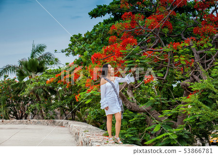 Beautiful woman on white dress walking alone at Beautiful woman on white dress walking alone at 53866781