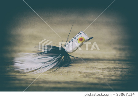 Fly fishing lure retro style Fly fishing lure retro style 53867134