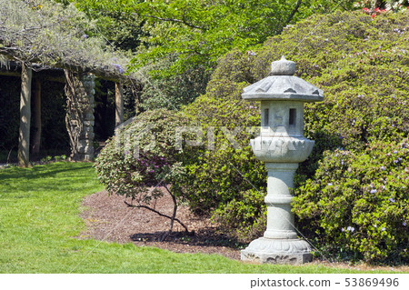 Spring garden with oriental grey stone lantern 53869496