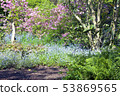 Vibrant pink rhododendron, green fern, blue flower 53869565