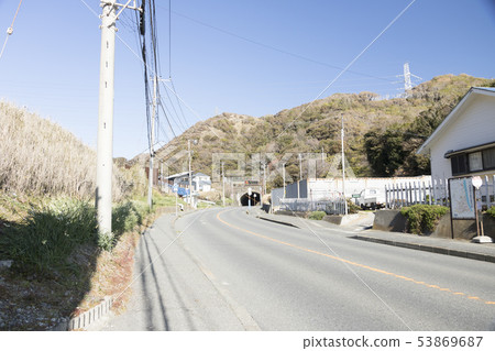Daffodils road 53869687