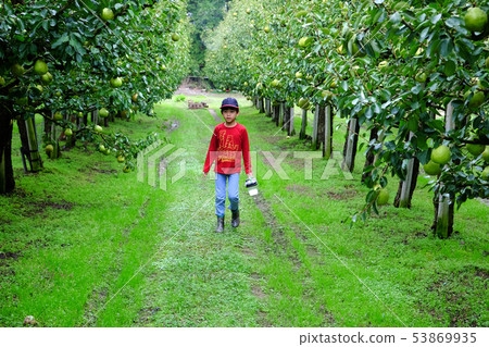 A boy catching insects at the La France farm 53869935