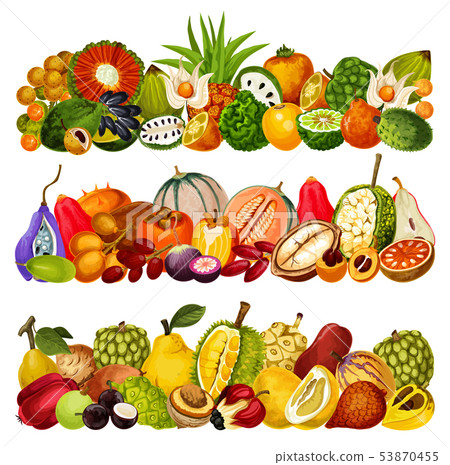 Exotic tropical fruits, farm agriculture harvest 53870455