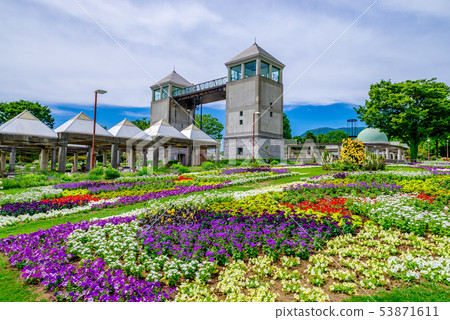 Gunma Flower Park 53871611