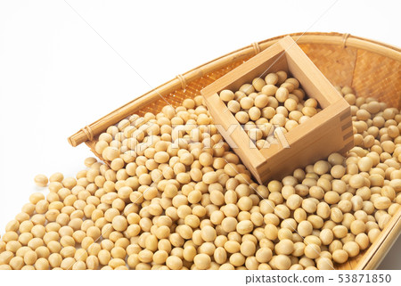 大豆 53871850