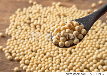 大豆 大豆 53871937