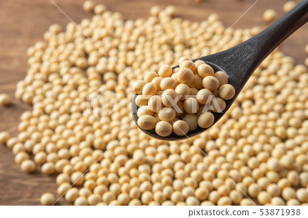 大豆 大豆 53871938