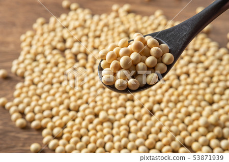 大豆 大豆 53871939