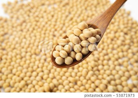 大豆 53871973