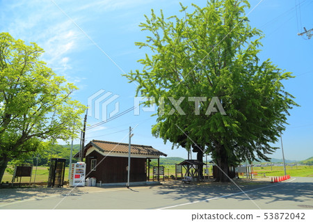 Hojo Railway [Amoutiki Station] Kasai City, Hyogo Prefecture 53872042