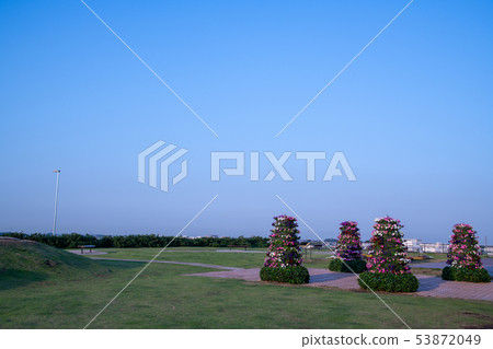 Tohoku Expressway Sano Service Area Flowerbed Tochigi Prefecture 53872049