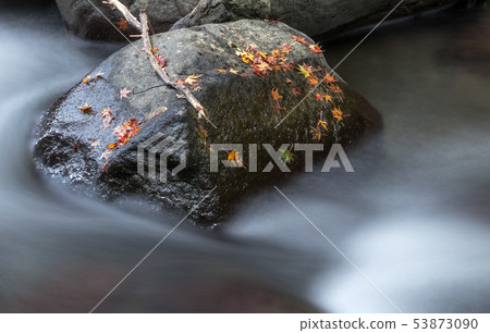 Takaronaki @ Takakoshi-cho, Isahaya-shi, Nagasaki Prefecture Takaronaki @ Takakoshi-cho, Isahaya-shi, Nagasaki Prefecture 53873090