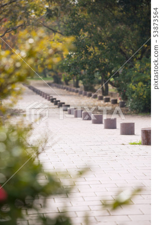 Autumn Nanba palace ruins park Autumn Nanba palace ruins park 53873564