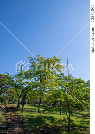 Yawatayama Park Utsunomiya Tower Tochigi Prefecture 53873803
