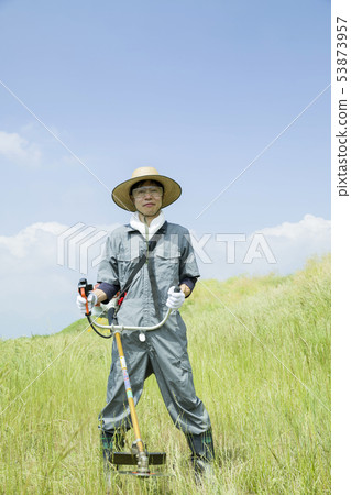 Weeding image, weeding image 53873957