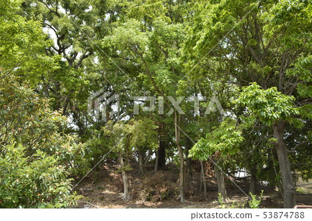 [Sakai City, Osaka Prefecture] World Heritage Mozu Burial Mounds (Nagatsuka Burial Mound) 53874788