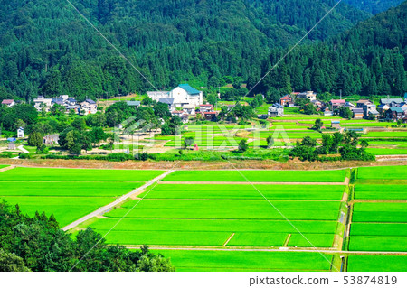 Summer rural landscape (July) 53874819