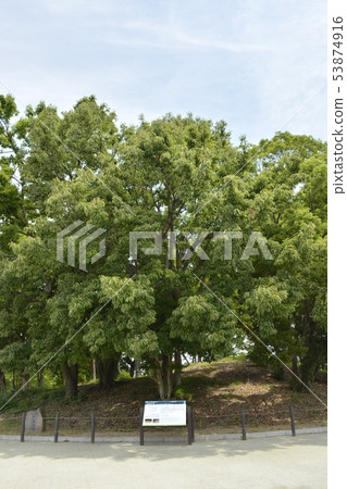 [Sakai City, Osaka Prefecture] World Heritage Site, Mozu Tumulus Group (Koritsuka Tumulus) 53874916