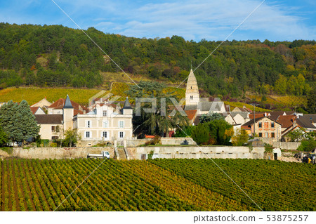 Houses and nature of Saint-Aubin is a village, Burgundy located in France 53875257