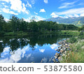 reflection 53875580