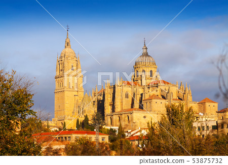 Day view of Salamanca Cathedral in autumn Day view of Salamanca Cathedral in autumn 53875732